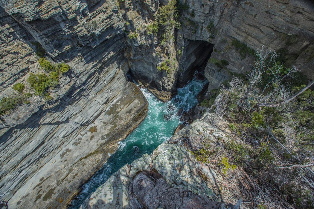Shore Excursion - Port Arthur - Tasman Peninsula