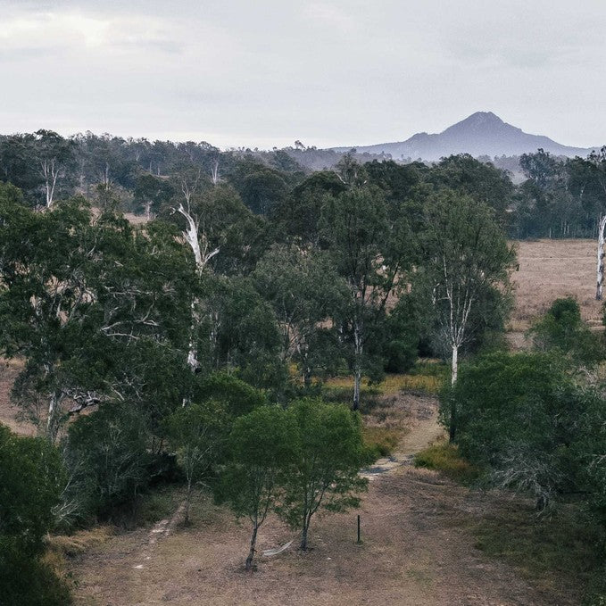 Unyoked 'Zerya' - 1 Night Weekdays