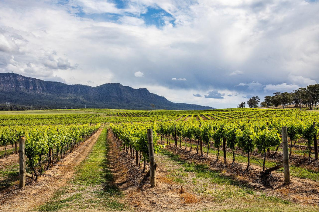 Autopia Tours: Hunter Valley Scenic Wine Tour With Lunch