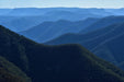 Blue Mountains Off The Beaten Track 4Wd Day Adventure Wildlife + River Cruise - We Wander