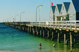 Busselton Jetty, Train Ride & Dolphin Discovery - We Wander