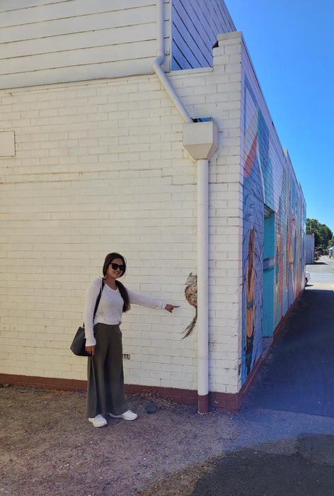 Collie Town Mural Tour Half Day - We Wander