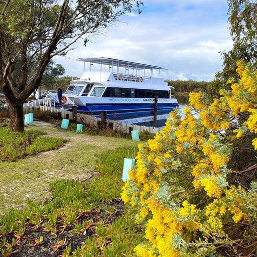 Eco Bbq Boat Cruise - We Wander