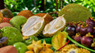 Exotic Fruit Tasting - We Wander