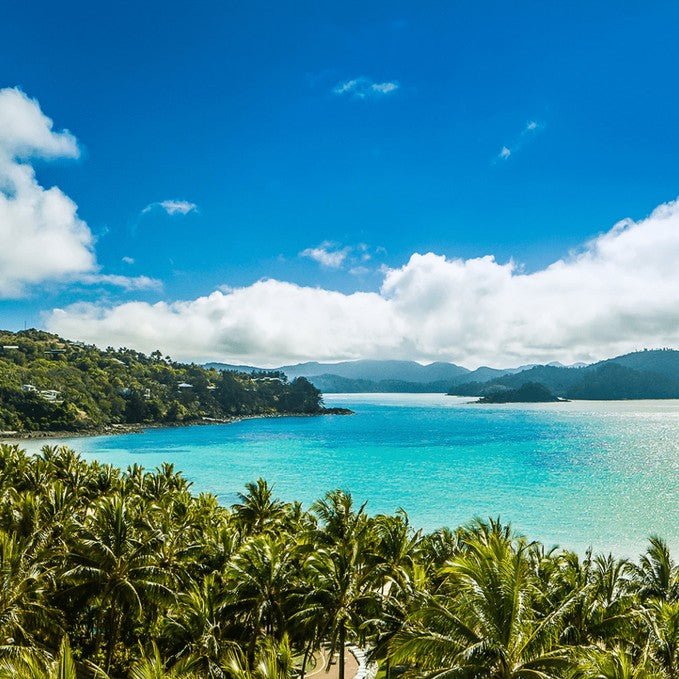 Great Barrier Reef Full Day Adventure - We Wander