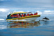 Tasman Island Cruises Full Day Tour From Hobart - We Wander